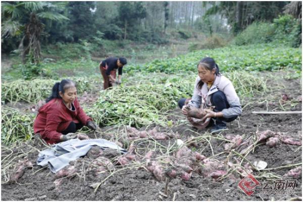 "蒿芝村村民王秀英笑着说道.